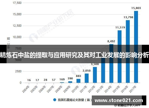 精炼石中盐的提取与应用研究及其对工业发展的影响分析